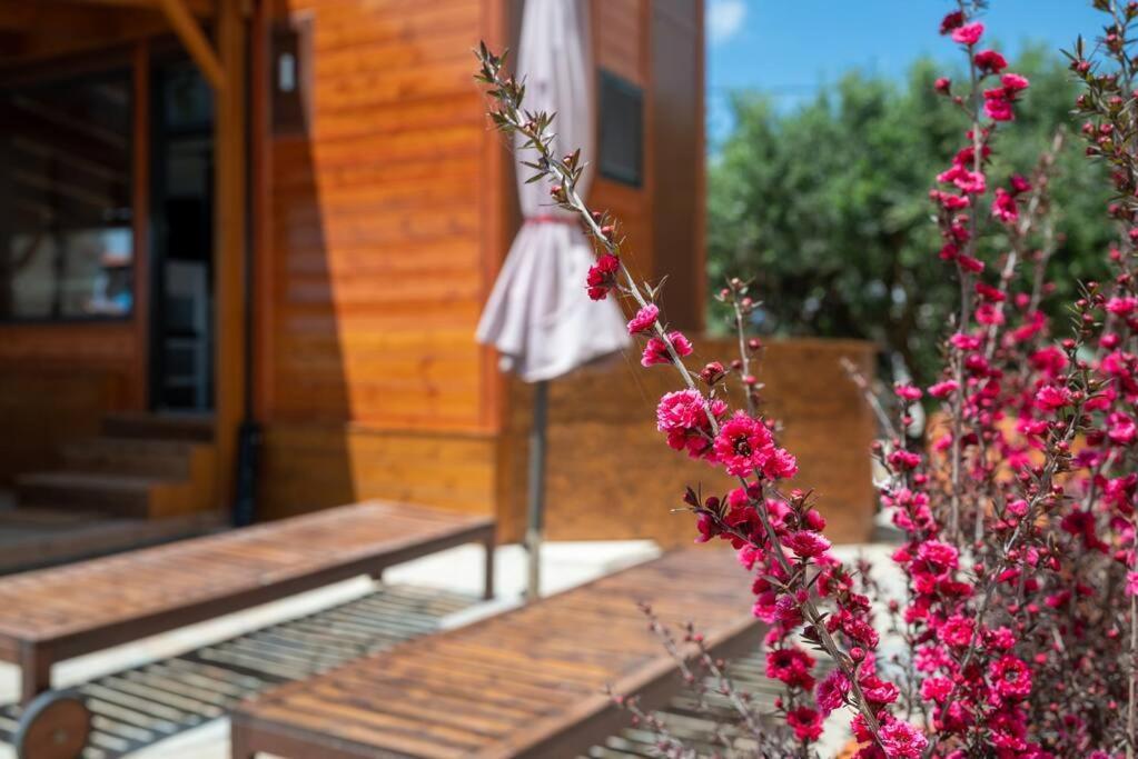 Tiny Among The Olives Chalet Héraklion